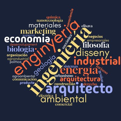 wordcloud_formación_inicial.jpg