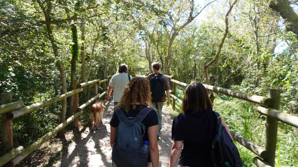Salida de campo del Parque Natural de los Humedales del Empordà, durante la Summer School sobre Metodos Transdisciplinares (2024) Salida de campo del Parque Natural de los Humedales del Empordà, durante la Summer School sobre Metodos Transdisciplinares (2024)